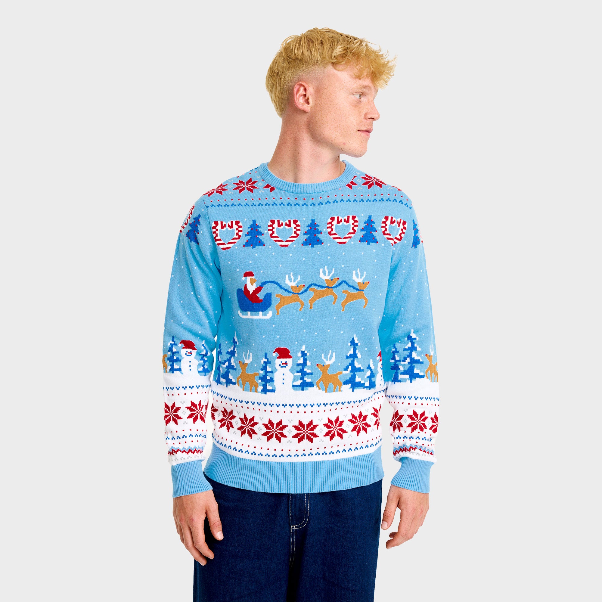 Christmas wonderland julesweater - Herre.